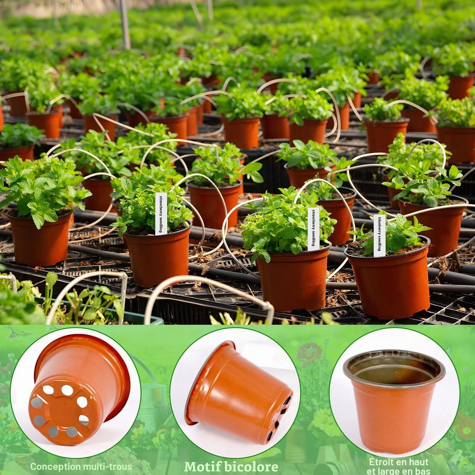Purpledi 100 Pcs 10CM Pots de Fleurs en Plastique avec Étiquettes, Gobelets de Semis, Godets de Repiquage