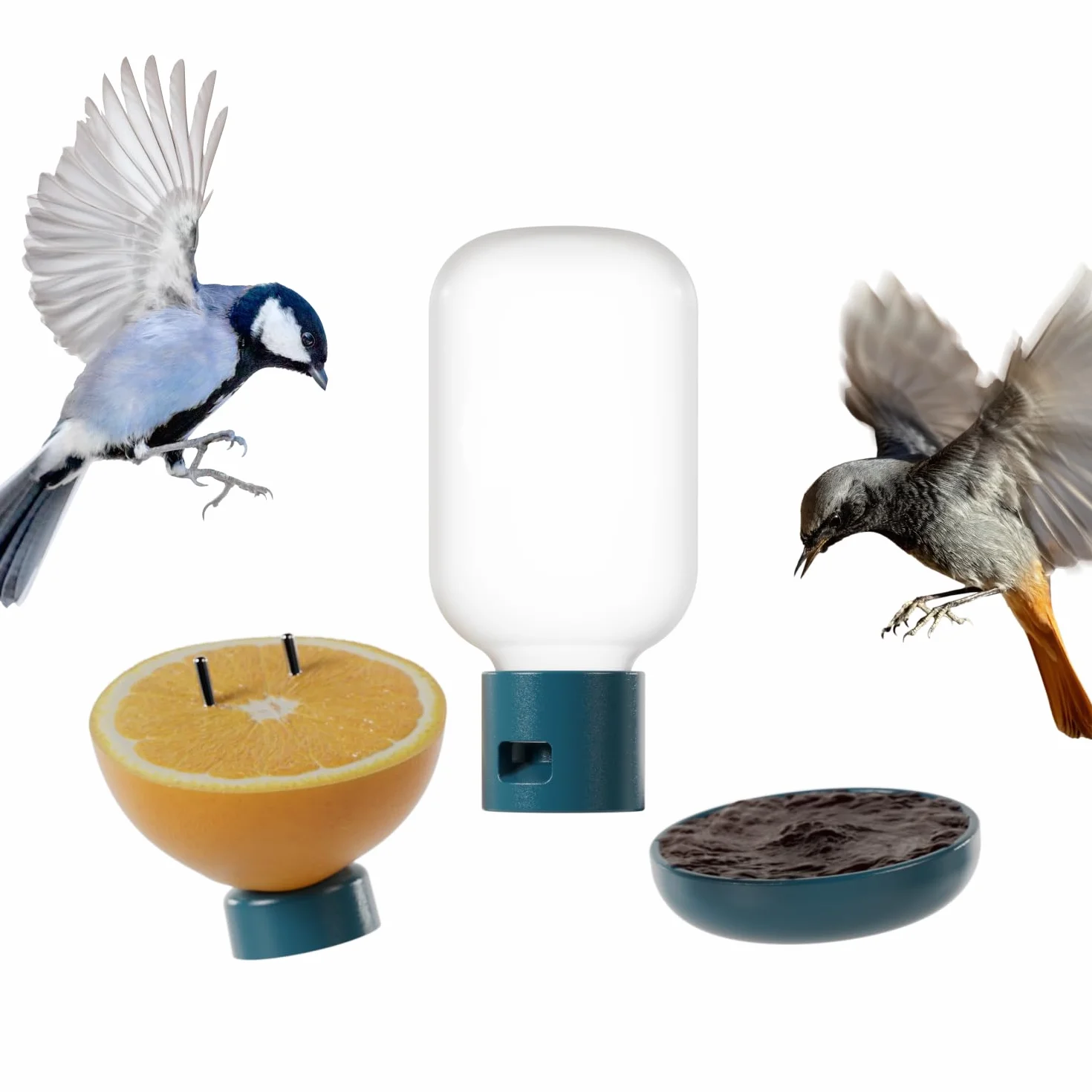 Birdbuddy Ensemble de Nutrition 3 en 1 – Fontaine à Eau, Piquet à Fruits, Mangeoire à Gelée pour Oiseaux Extérieur
