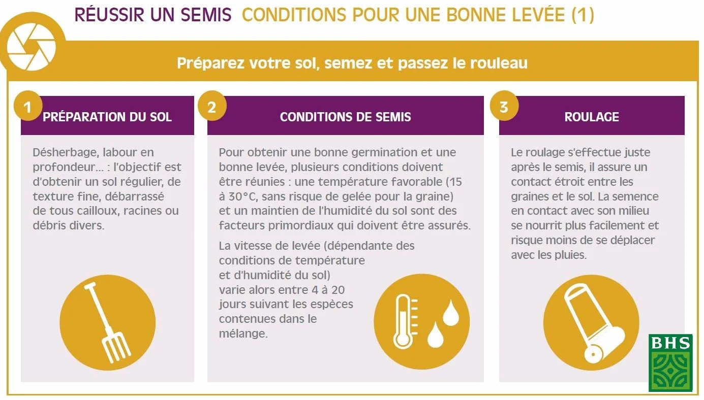 BHS Kikuyu Gazon Zones Méditerranéennes 300g 25 m² Résistant Fortes Chaleurs KIK300