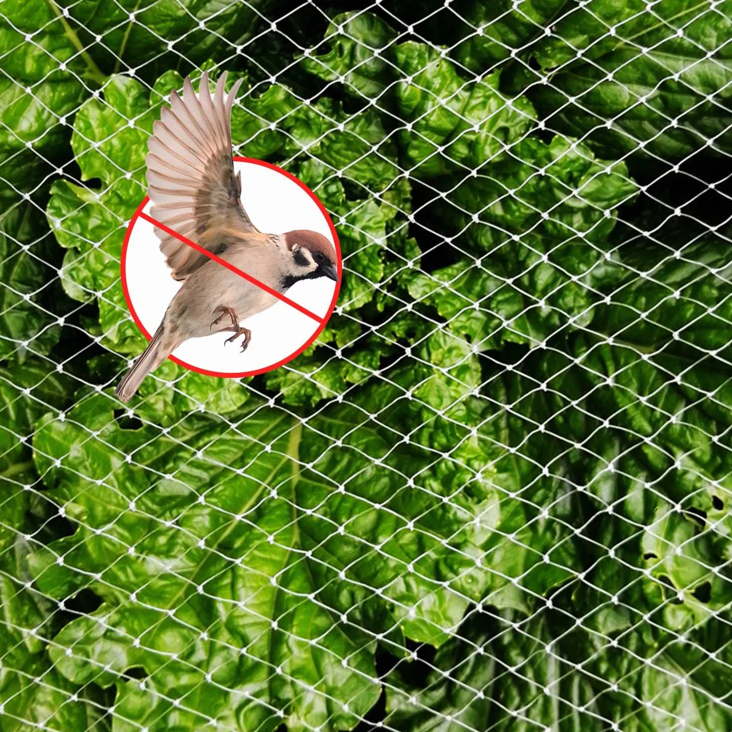 Filet Anti Oiseaux 3x10m Protection Réutilisable pour Volière Balcon Jardin Clôture