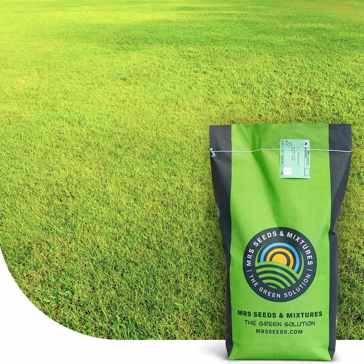 MRS Dry & Strong Semences de gazon terrains secs 2 kg 100 m² Résiste chaleur sécheresse