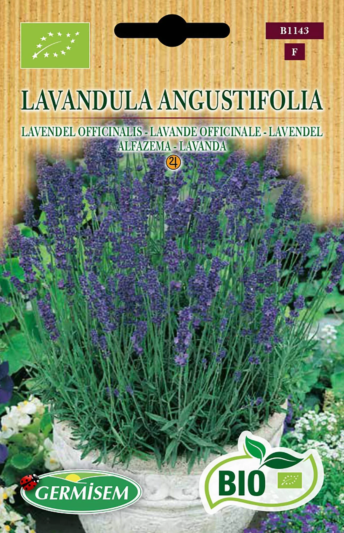 Germisem Bio Lavandula Angustifolia Graines de Lavande 0.5 g Multicolore
