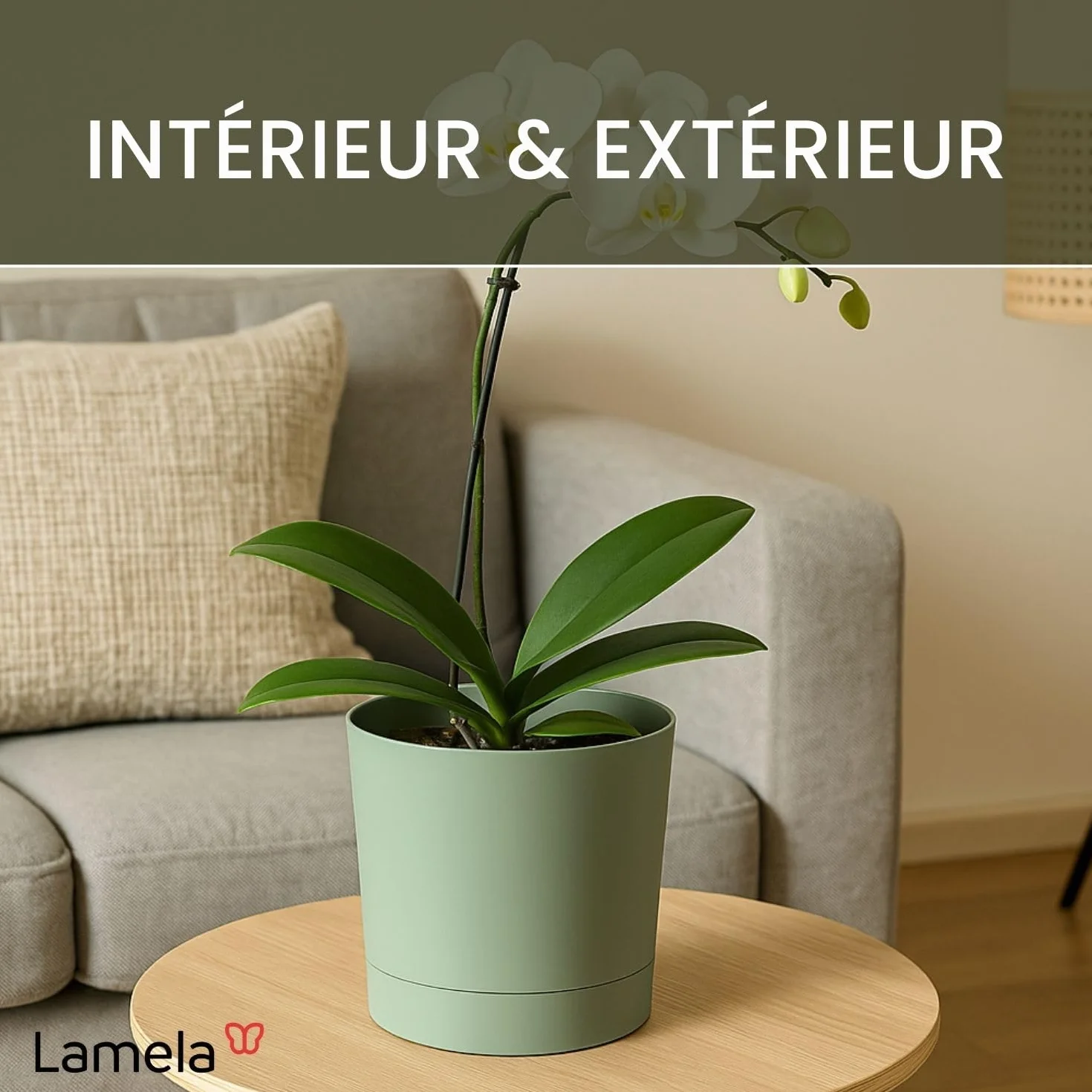 LAMELA Bac À Plantes avec Soucoupe Intégrée 17,5 cm 2,5L Pot De Fleur Vert Résistant Aux Intempéries
