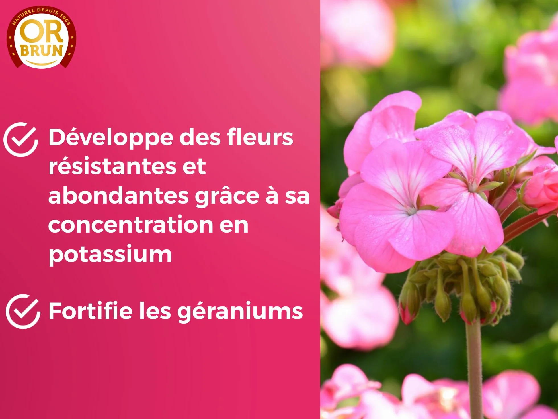 Engrais Géraniums 1L Fortifie Floraison Agriculture Biologique Fabriqué France