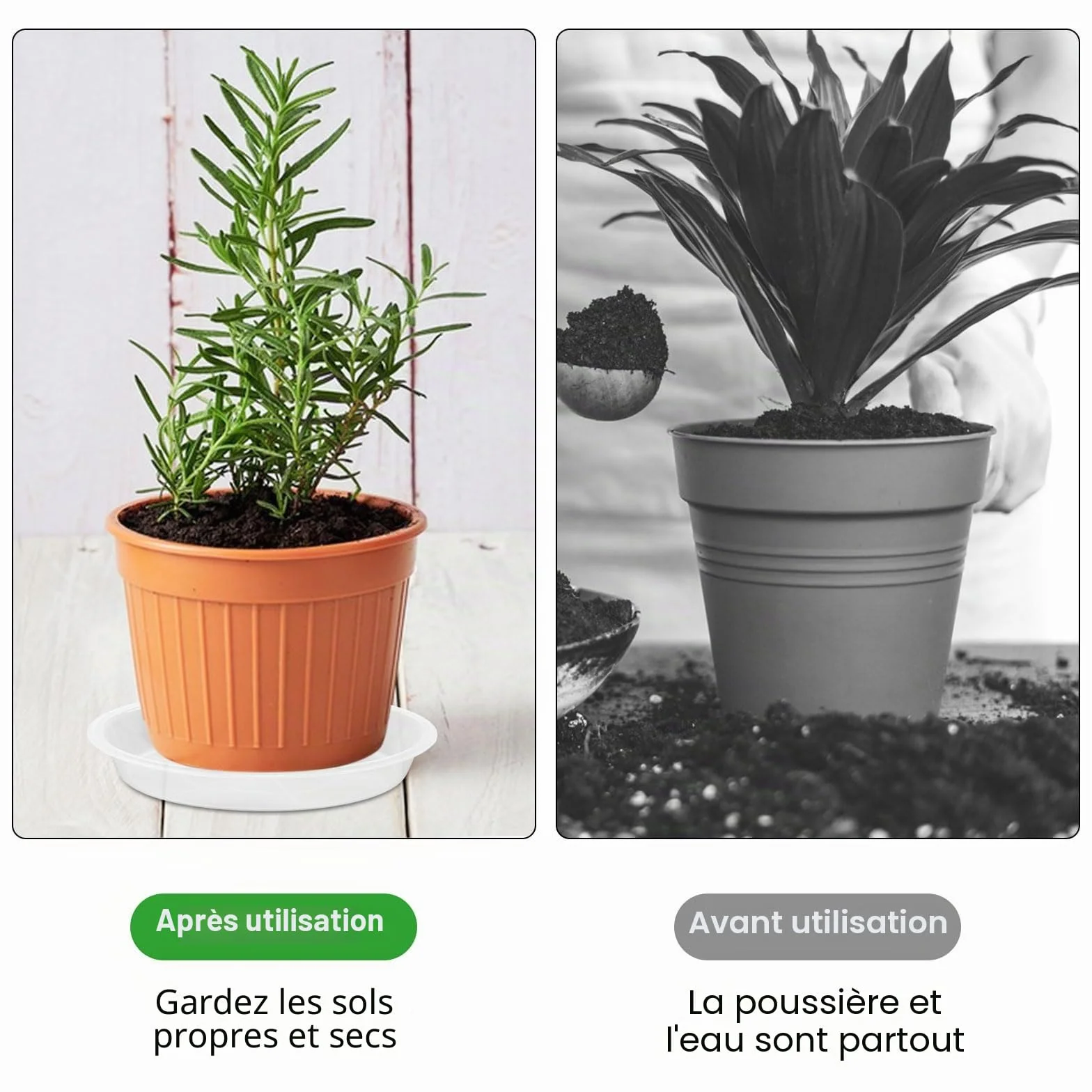 16 Pièces Coupelle Pot de Fleur Soucoupe Plastique Transparent avec Étiquettes pour Plantes Intérieur Extérieur
