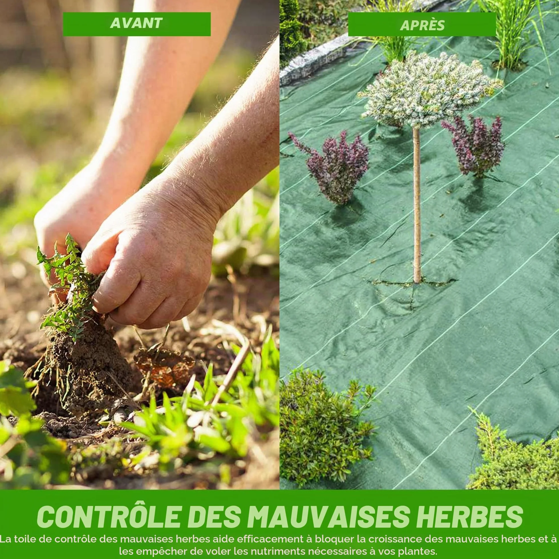 Toile de Paillage 125gsm 2m x 10m Jardin Anti-Mauvaises Herbes Anti UV Verte