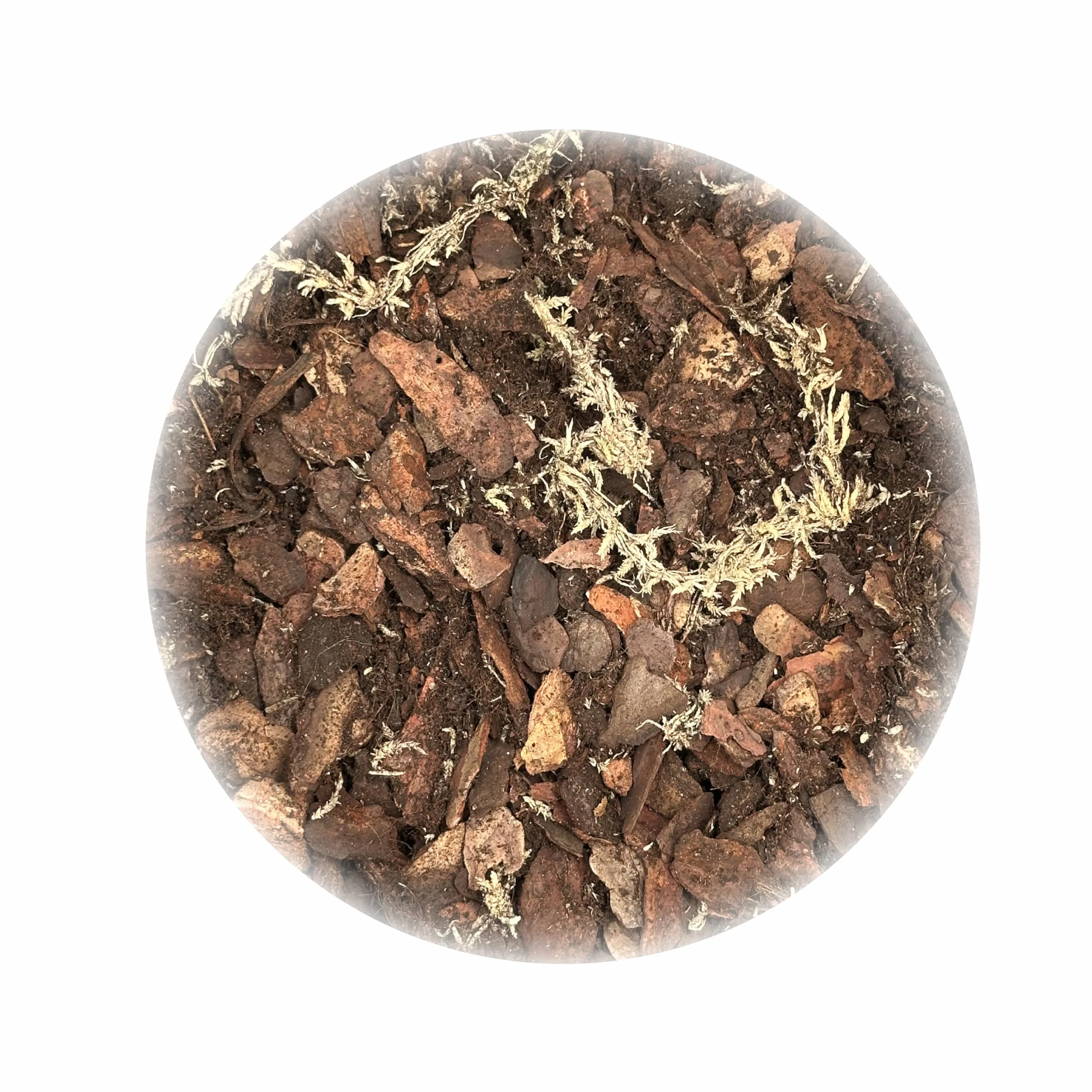 Substrat pour orchidées 2,5 L 6 composants Orchideenerde