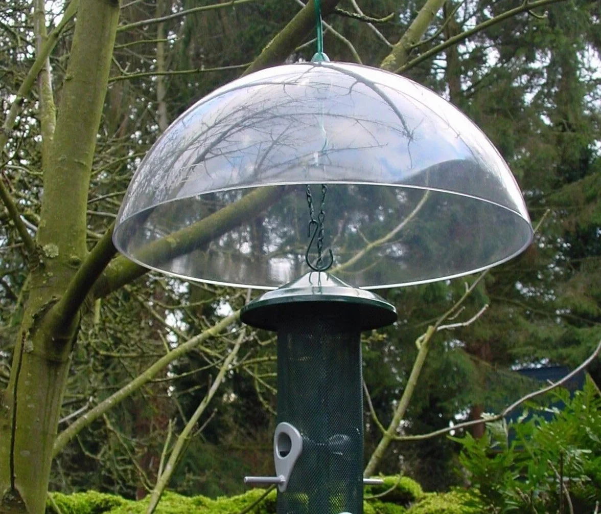 Grand Universel 40cm Transparent Mangeoire Oiseaux Accessoire