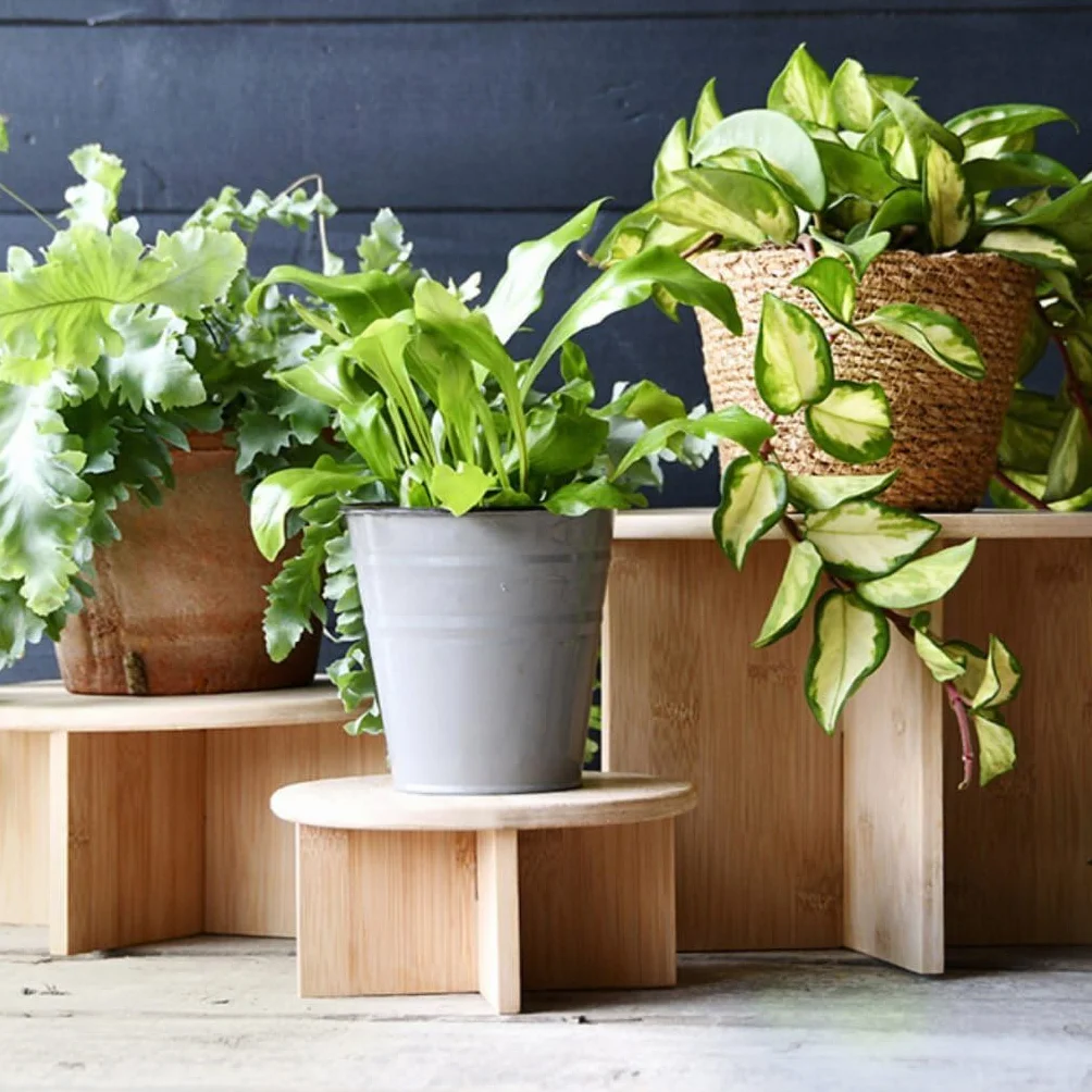 Esschert Table de plantation en bambou design 25 x 11 cm