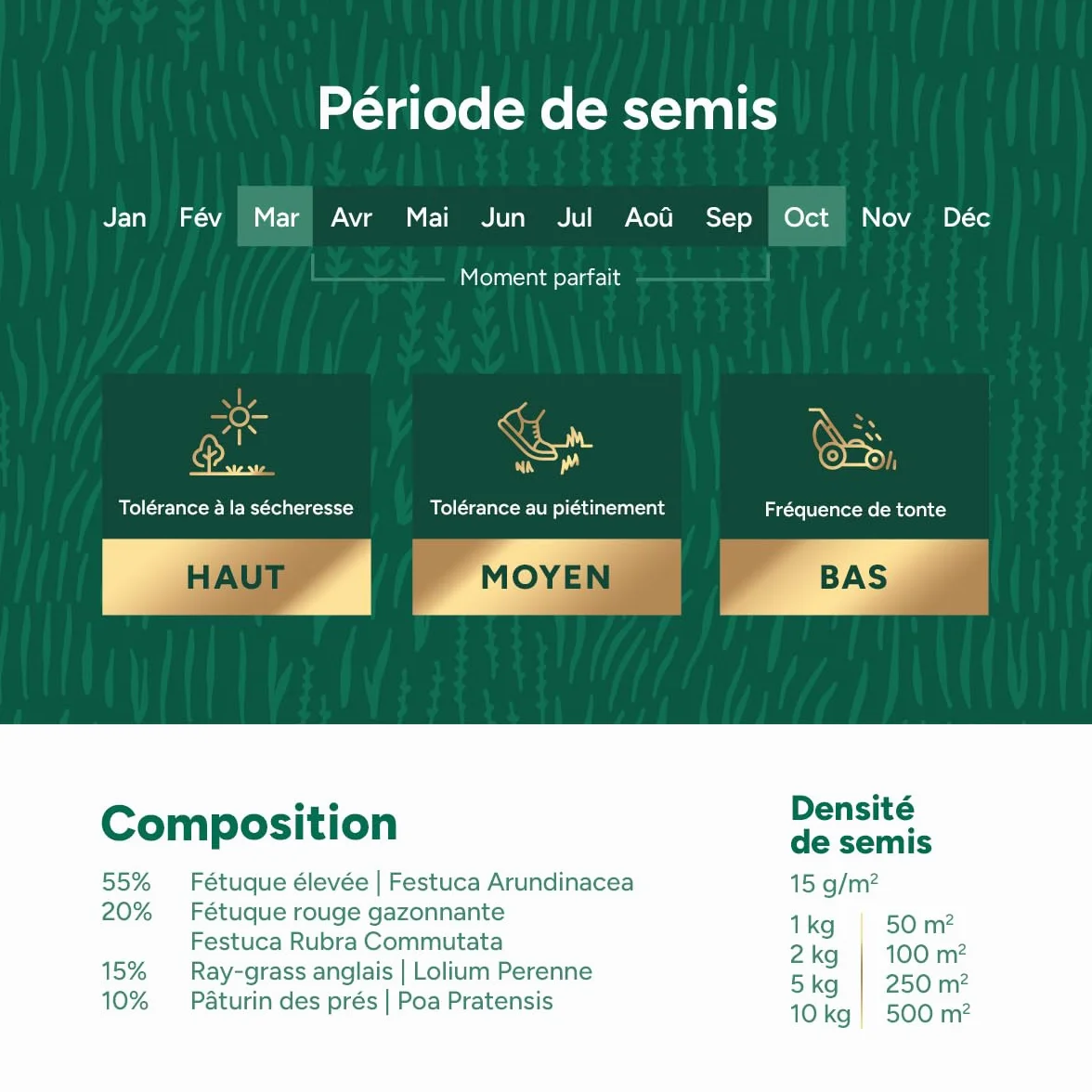 Gazon résistant à la sécheresse MRS Dry & Strong 10 kg 500 m² Hydroboost™