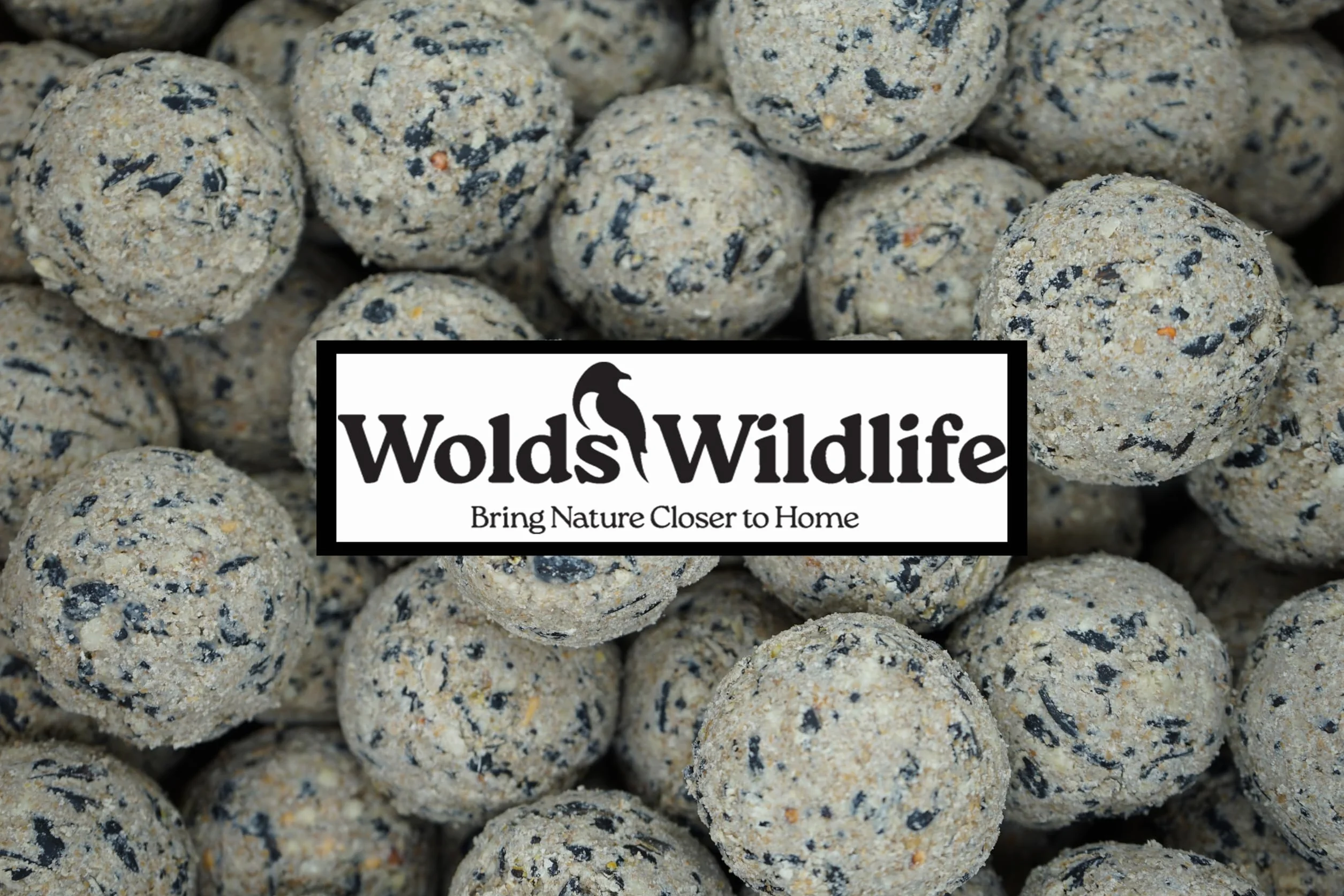 Lot de 160 Boules de Graisse pour Oiseaux Sauvages, 80 g, Riche en Énergie