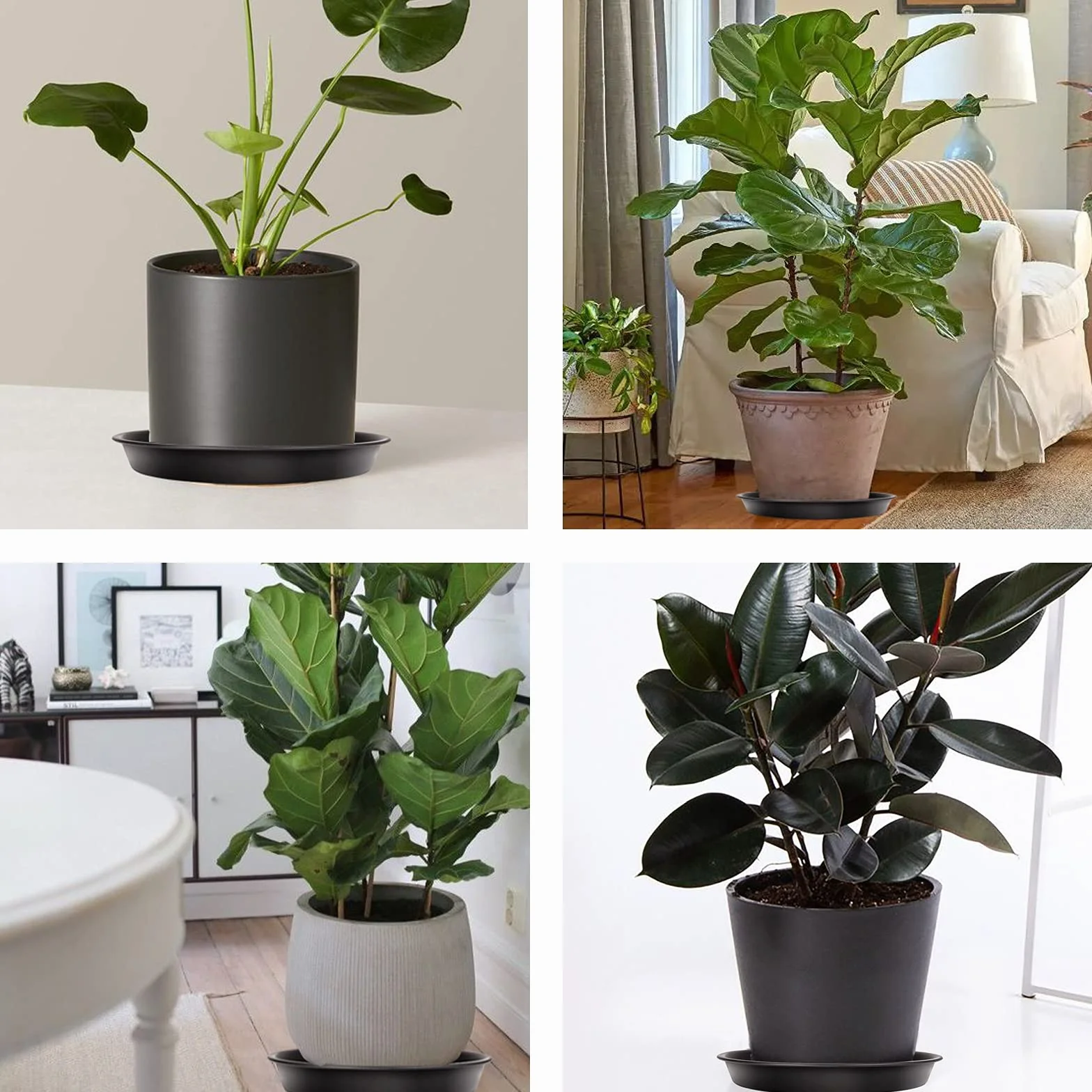 Soucoupes pour Plantes 30cm Lot de 5 - Plateaux pour Pots de Fleurs Intérieur Extérieur