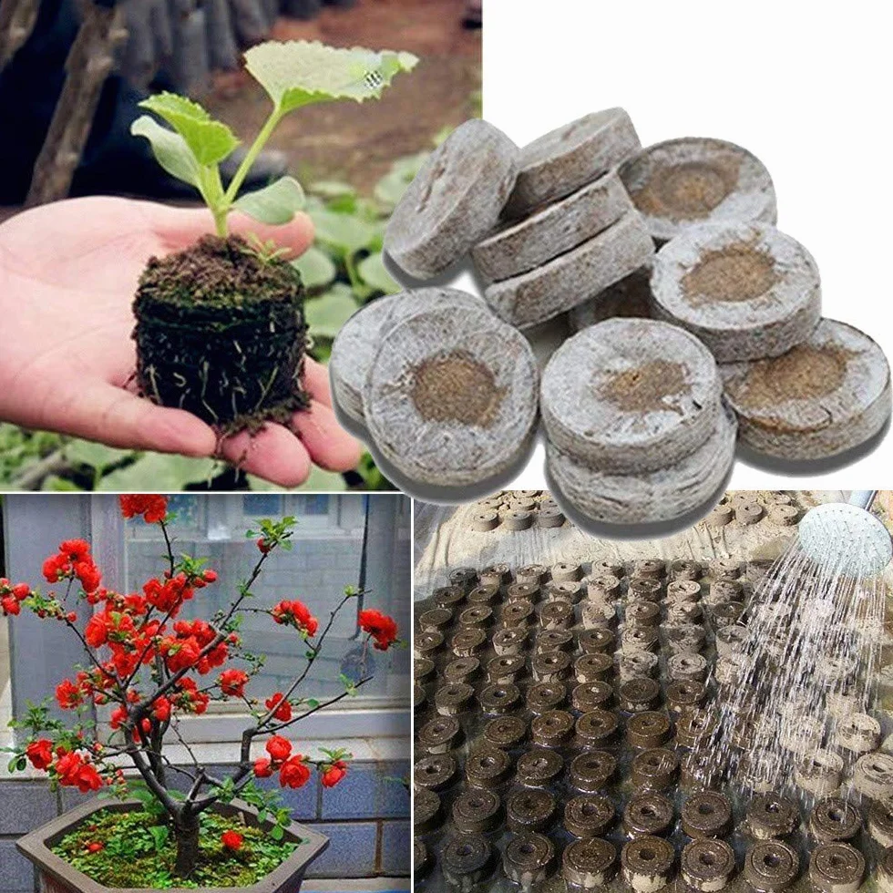 Pastille de Tourbe Compressée Granulés Bouchons Culture Plantes Jardinage 5 Pack