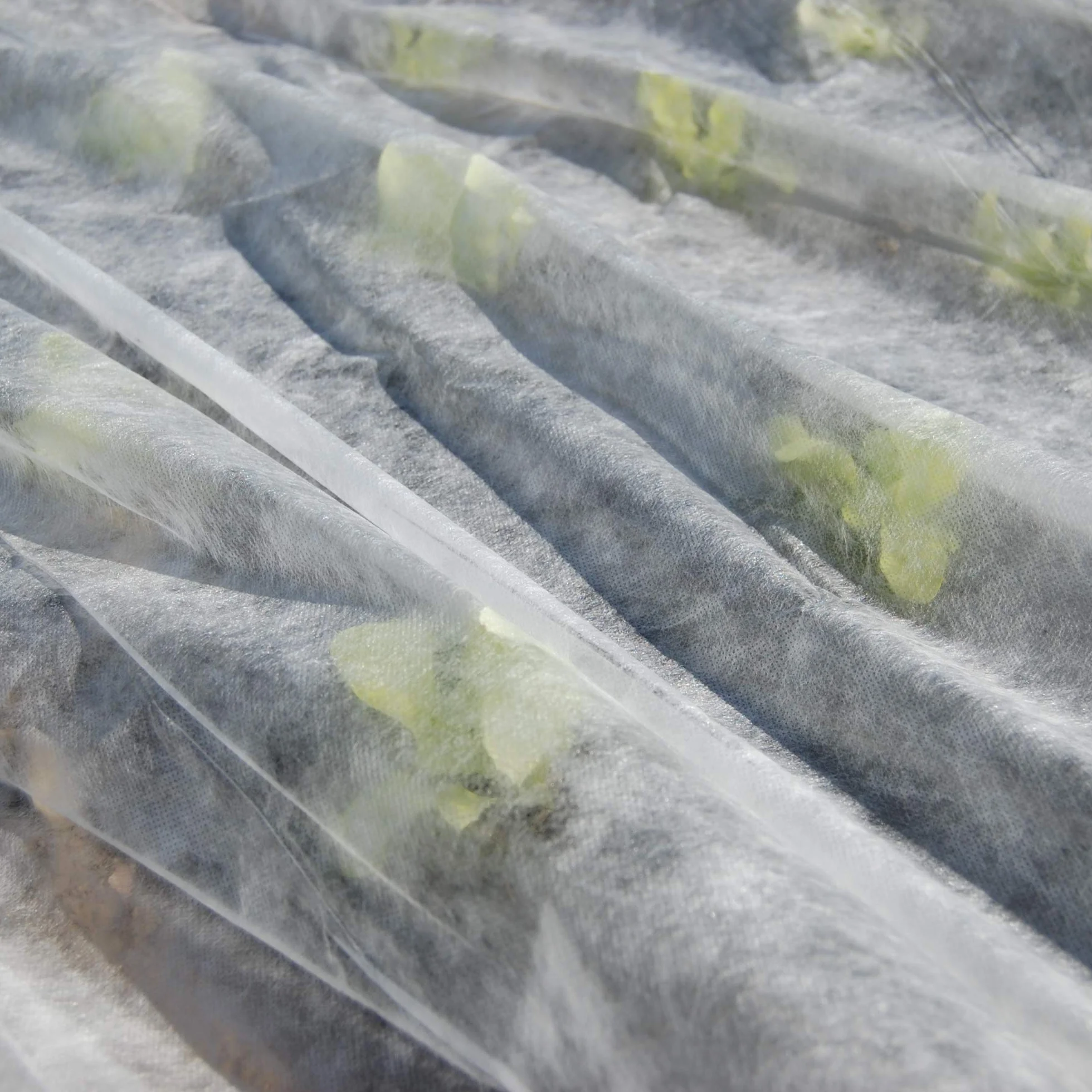 TENAX Ortoclima Plus Voile d'Hivernage 2,40x10 m Blanc 30 g/m² Tissu Non Tissé