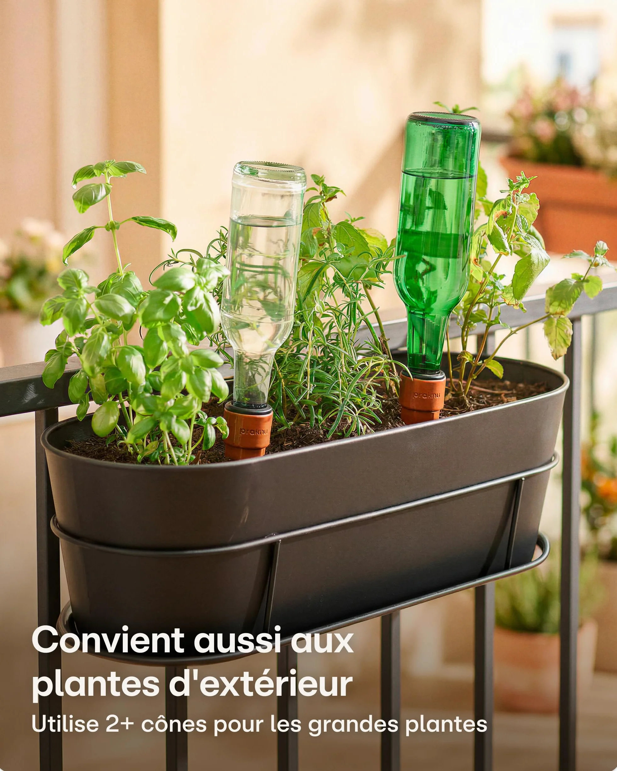 Oyas à Planter en Terre Cuite Petit – Arrosage Automatique Jusqu’à 10 Jours – Étanche avec Adaptateur PET – Distributeur d’Eau pour Vacances