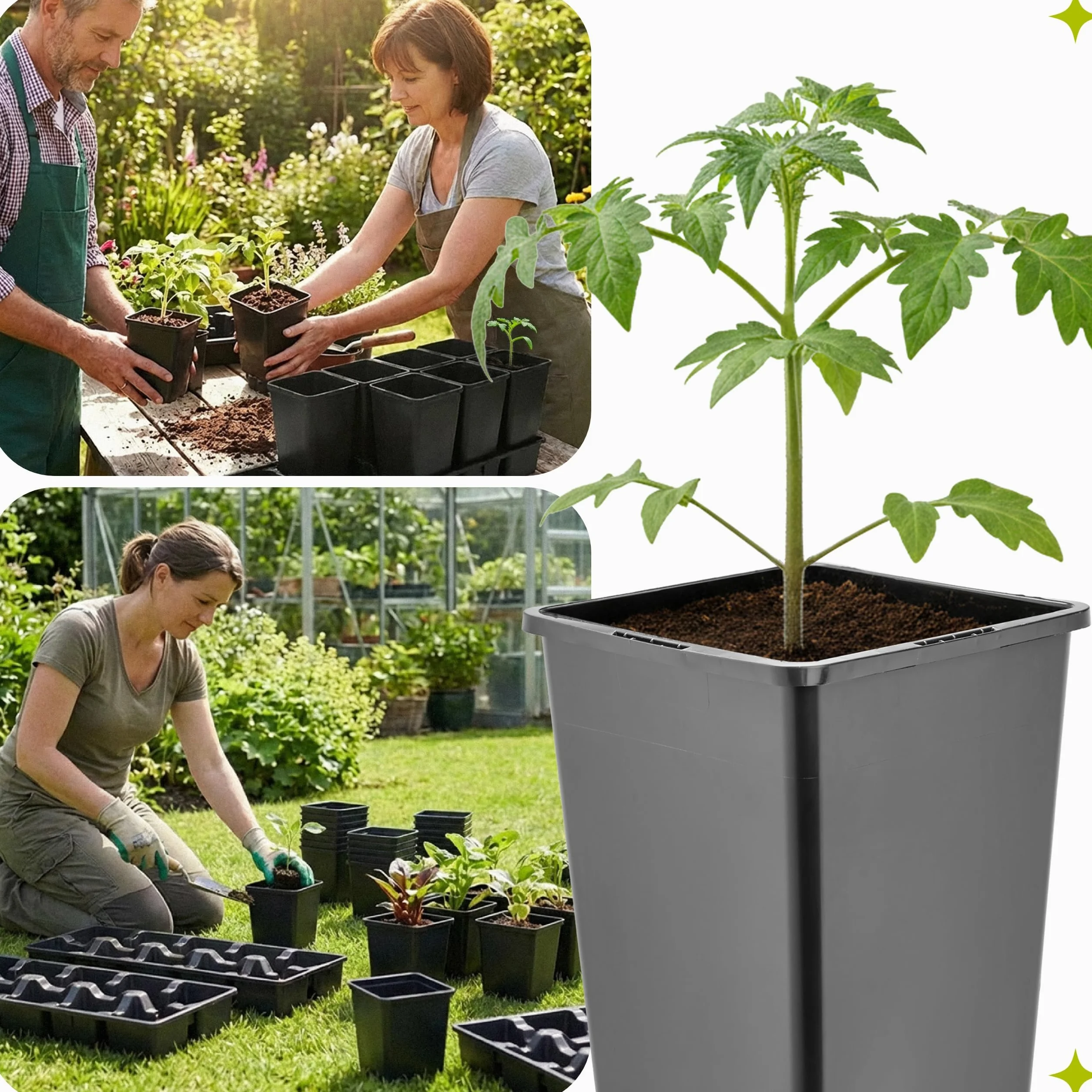 Garronda Kit de Semis Plateau 10 Trous avec Godets Plastique PP Réutilisable GD-0208 Noir