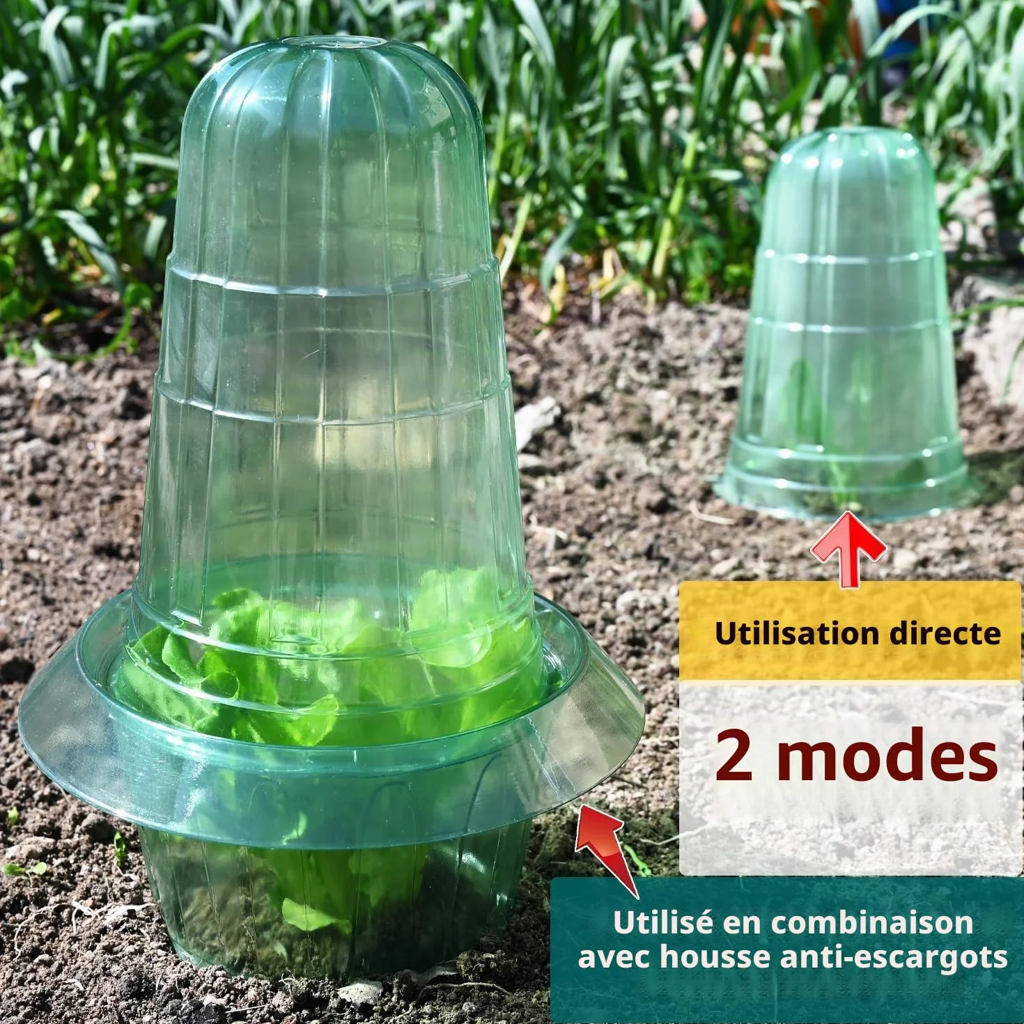 Collier anti-limaces 10 anneaux protection salades choux jardinière surélevée