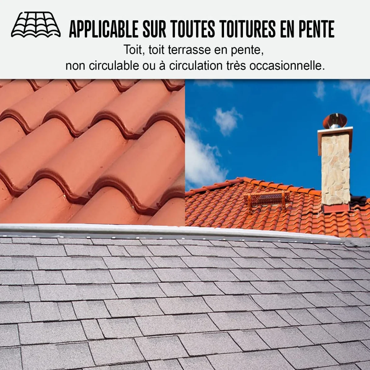 Étanchéité Toiture : Peinture résine d'étanchéité ARCAFILM pour Toit et Tuile - 2.5 L Tuile - ARCANE INDUSTRIES