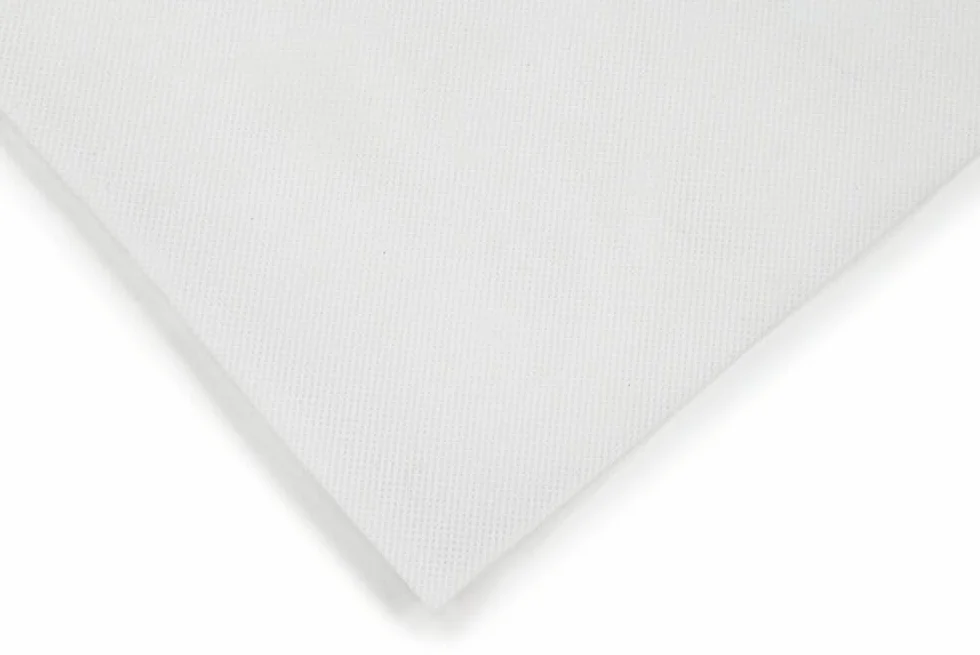 EraGreen Voile d'hivernage 60 g/m² 10 m x 3,2 m - Protection anti-gel résistant aux UV perméable à l'eau