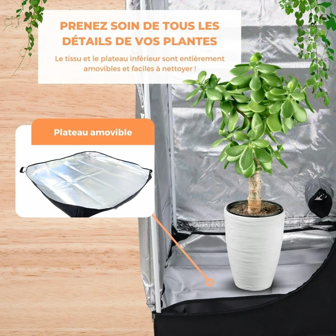 Mobiclinic® Growbox 120x120x200cm Premium Mylar 97% Reflective Hydroponique Imperméable