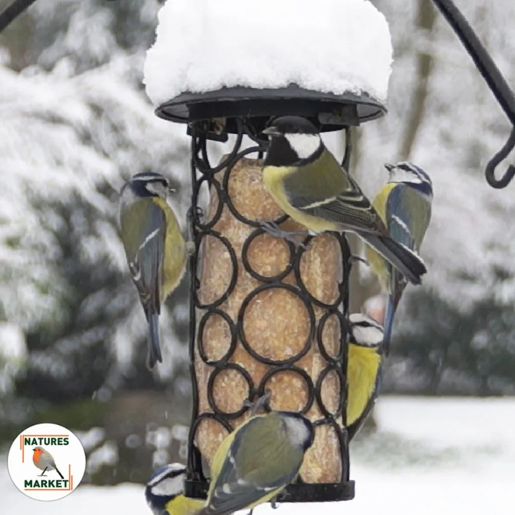 Graisse Végétale 100% pour Oiseaux 12 Saveurs 850g x12 10.2kg Alimentation Complète