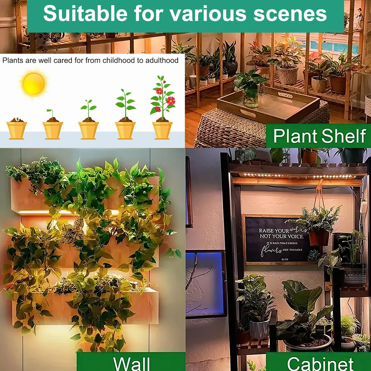 Lot de 4 lampes LED à spectre complet pour plantes avec 540 LED, minuterie, 10 luminosités