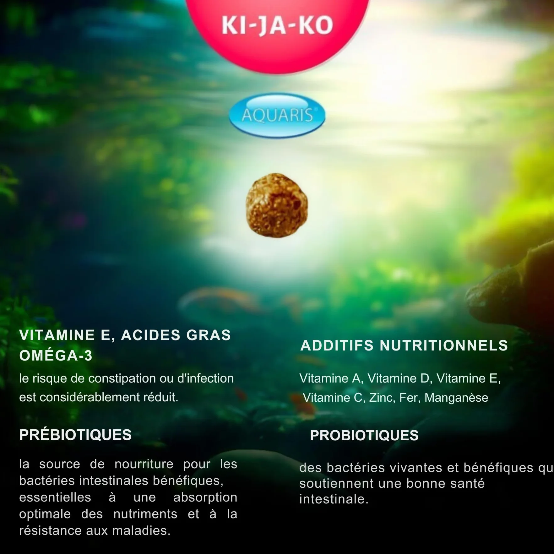 Staple Flottant Nourriture pour carpes koï 500 g 3 mm