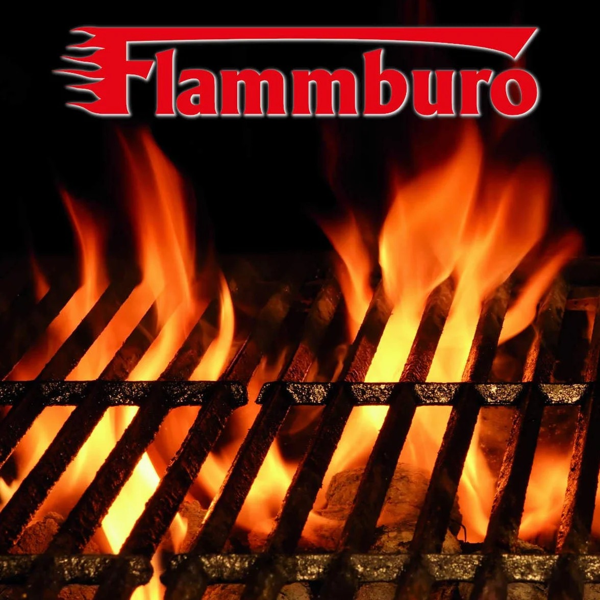 FLAMMBURO Lot de 576 cubes d'allumage paraffine allume-barbecue allume-cheminée fabriqué en Allemagne 12 boîtes x 48