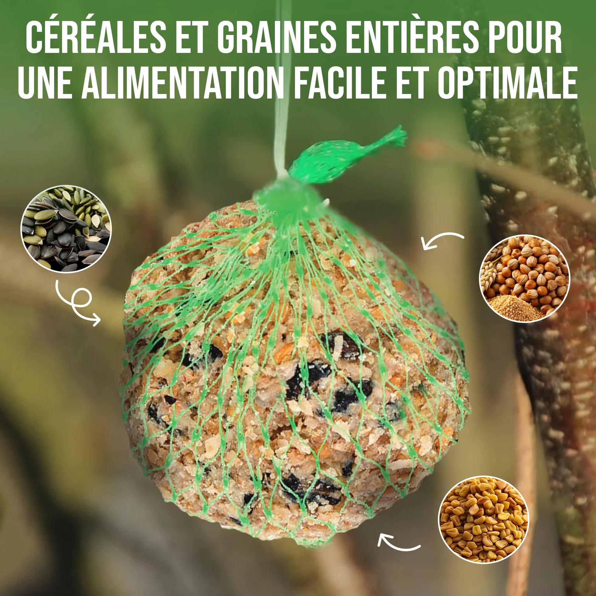 LERAVA Boules de Graisse pour Oiseaux du Jardin 65 pièces Nourriture énergétique Flocons de céréales