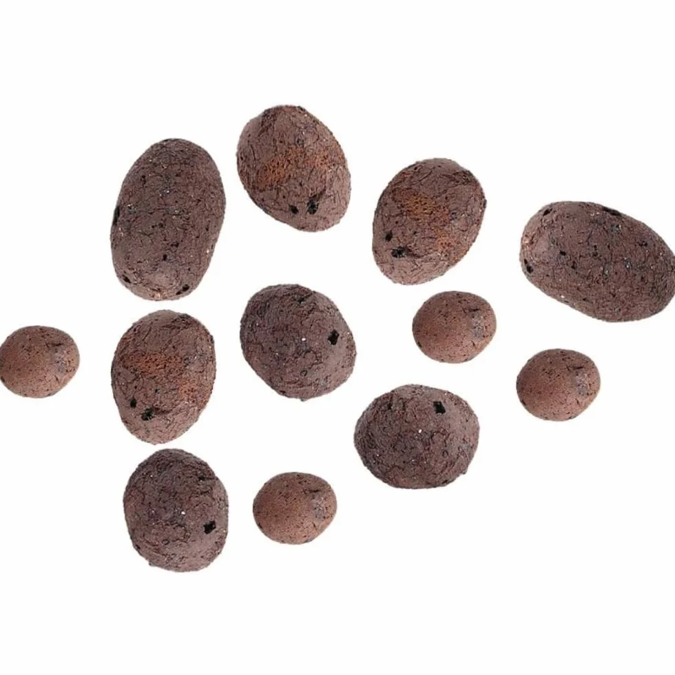 Galets d'argile 100 g pour culture hydroponique, terrarium, plantes en pot