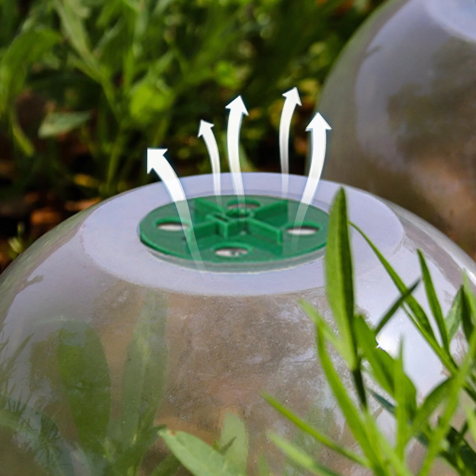 Lot de 10 Dômes de Serre de Jardin Transparents Réglables pour Propagation