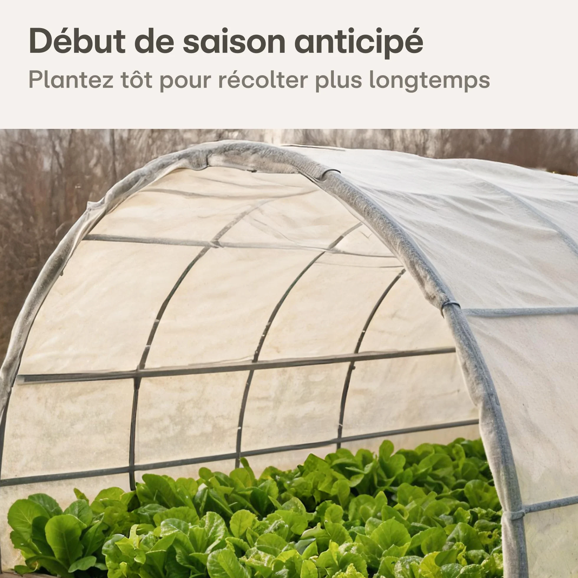 Voile d'Hivernage pour Plantes 17g/m² 20m² (2x10m) Protection Contre le Gel Respirant Perméable à l'Eau Stabilisé aux UV