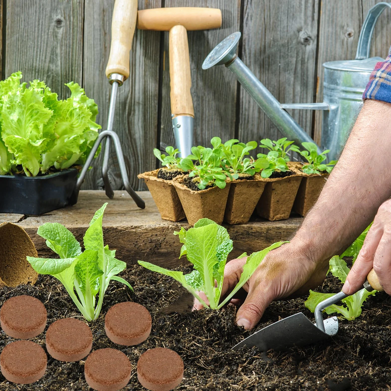 Fibre de Coco pour Plante, 20 PCS Bloc de Nutrition pour Semis, Pastille de Tourbe, Terreau Compressée pour Cultiver Fruits, Légumes, Fleurs
