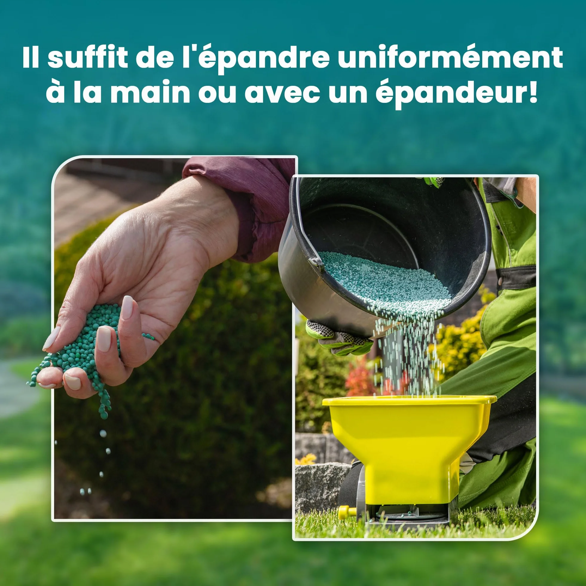 LERAVA Engrais Gazon Printemps Marathon NPK libération lente anti mousse – Fertilisant pelouse azote