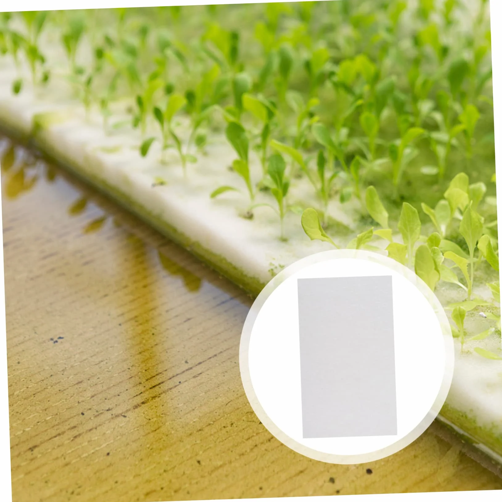 Papier De Germination 150 Feuilles Absorbantes pour Cultures sans Sol De Légumes