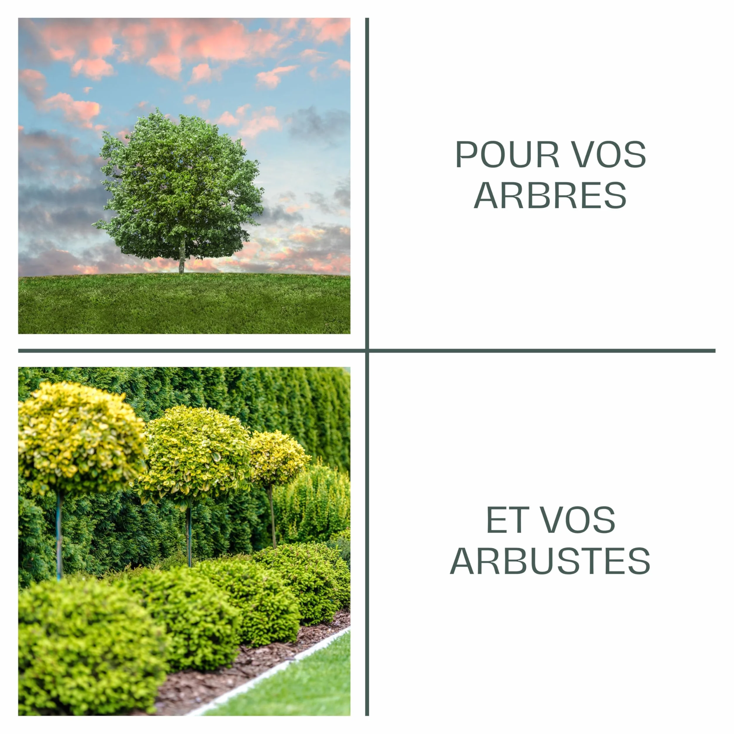 La Plaine Chassart Terreau Plantation 50L Toutes Variétés Plantes Extérieur