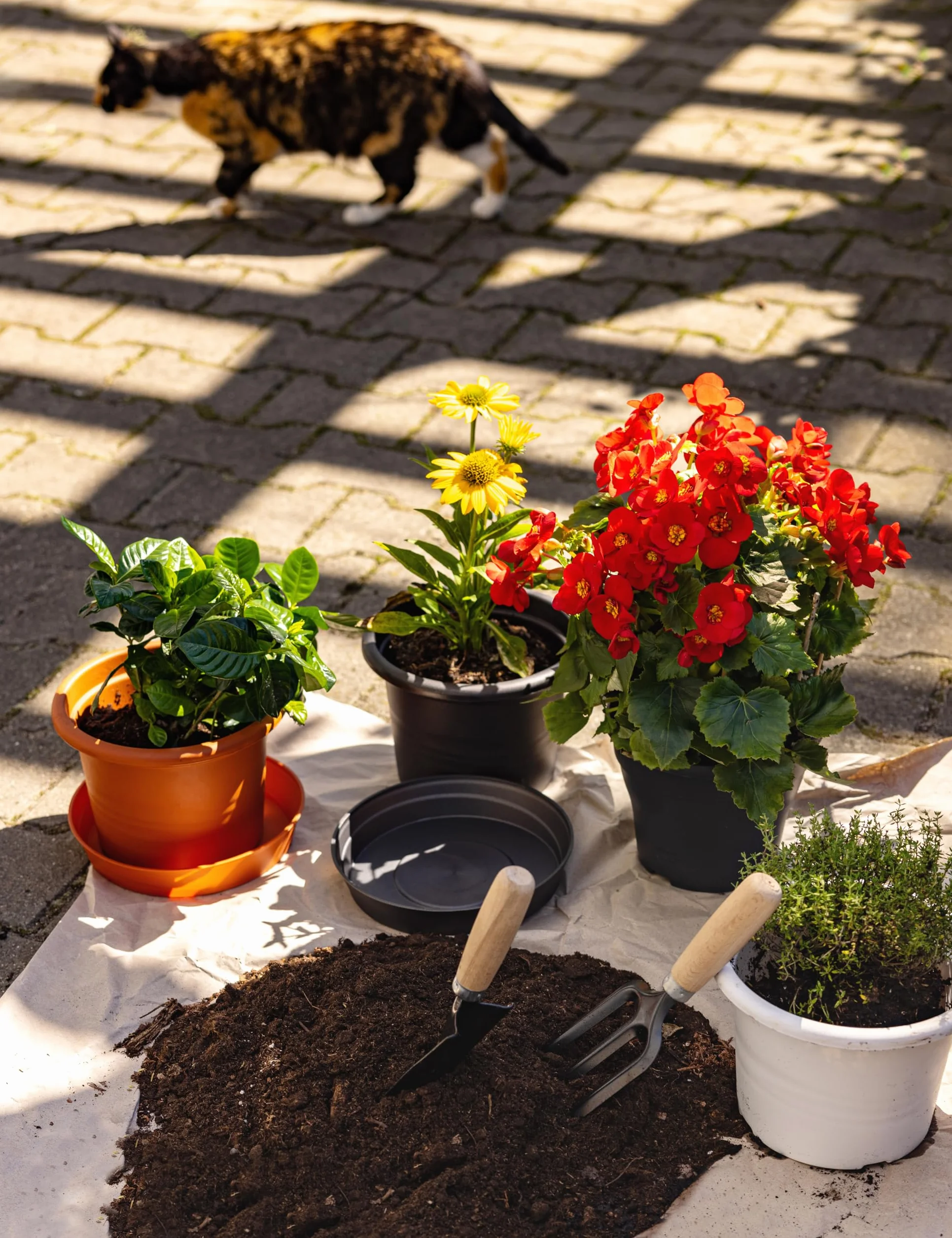 Soucoupe pour Plantes Plastique Plateaux Pot Terracotta ⌀ 34cm H 5cm