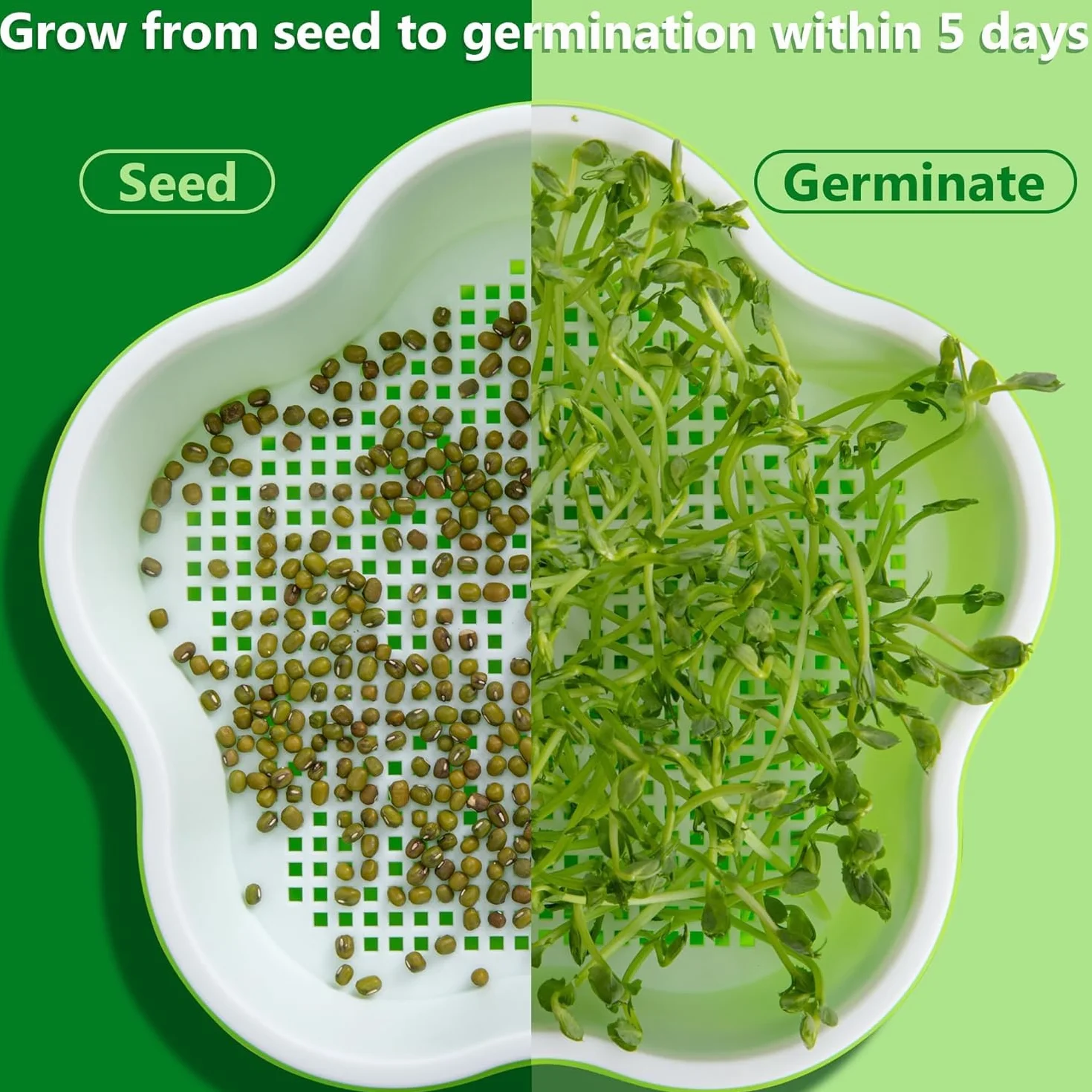 LATERN 4 Pièces Plateaux de Germination 16CM Bac à Semis Propagateur Hydroponique sans BPA