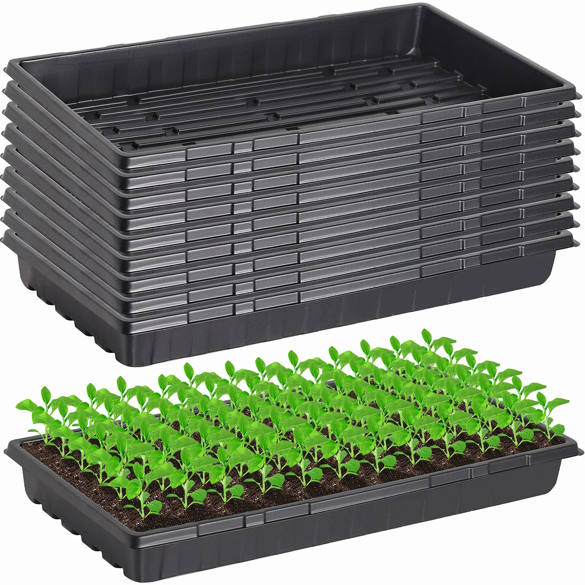 Lot de 10 Plateaux de Culture sans Trous de Drainage 50,8 x 25,4 cm Récipient pour Semis Herbe à Chat