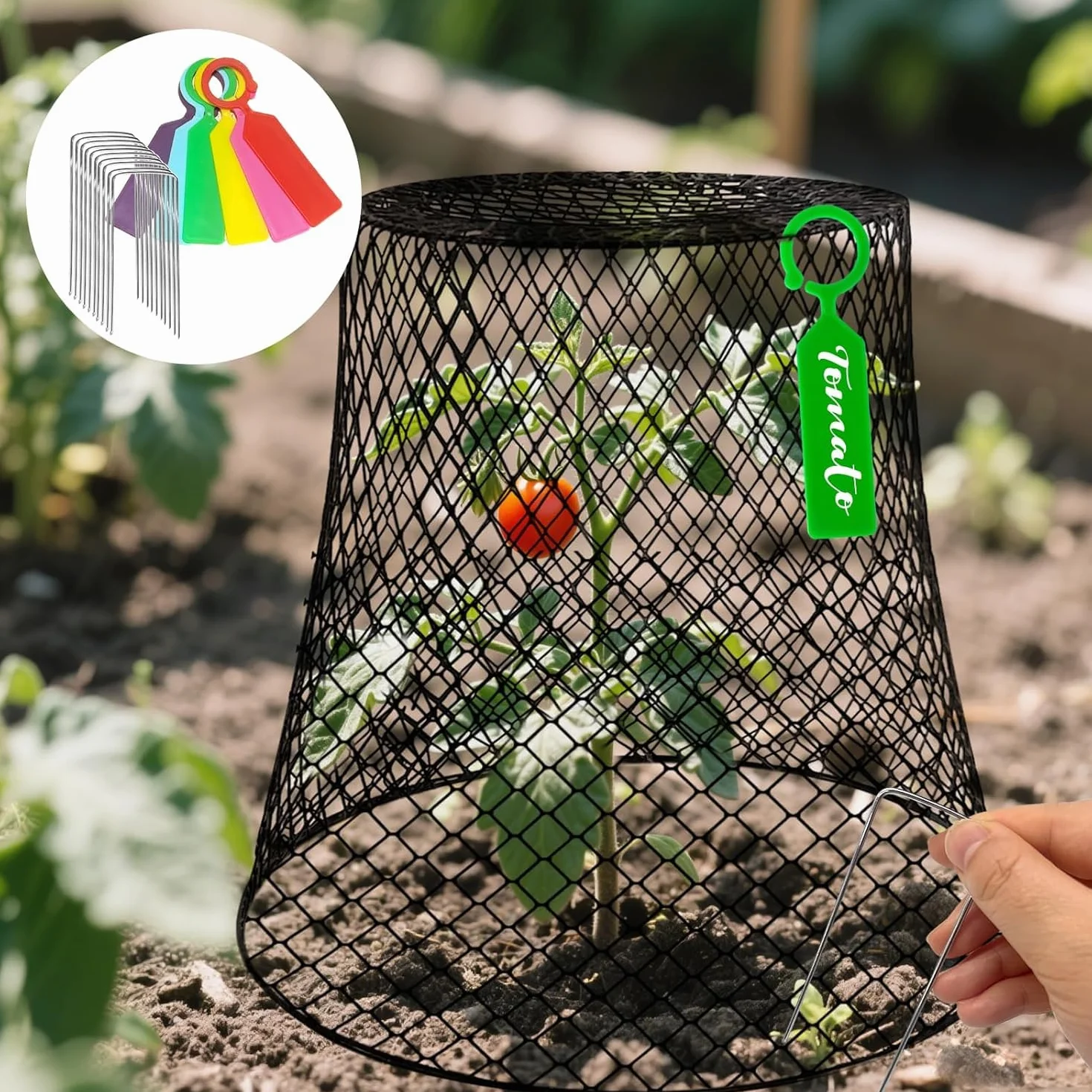 KAHEIGN 12 Pièces Cloches Grillagées pour Plantes 23CM x 23CM Cage de Protection Métallique de Jardin