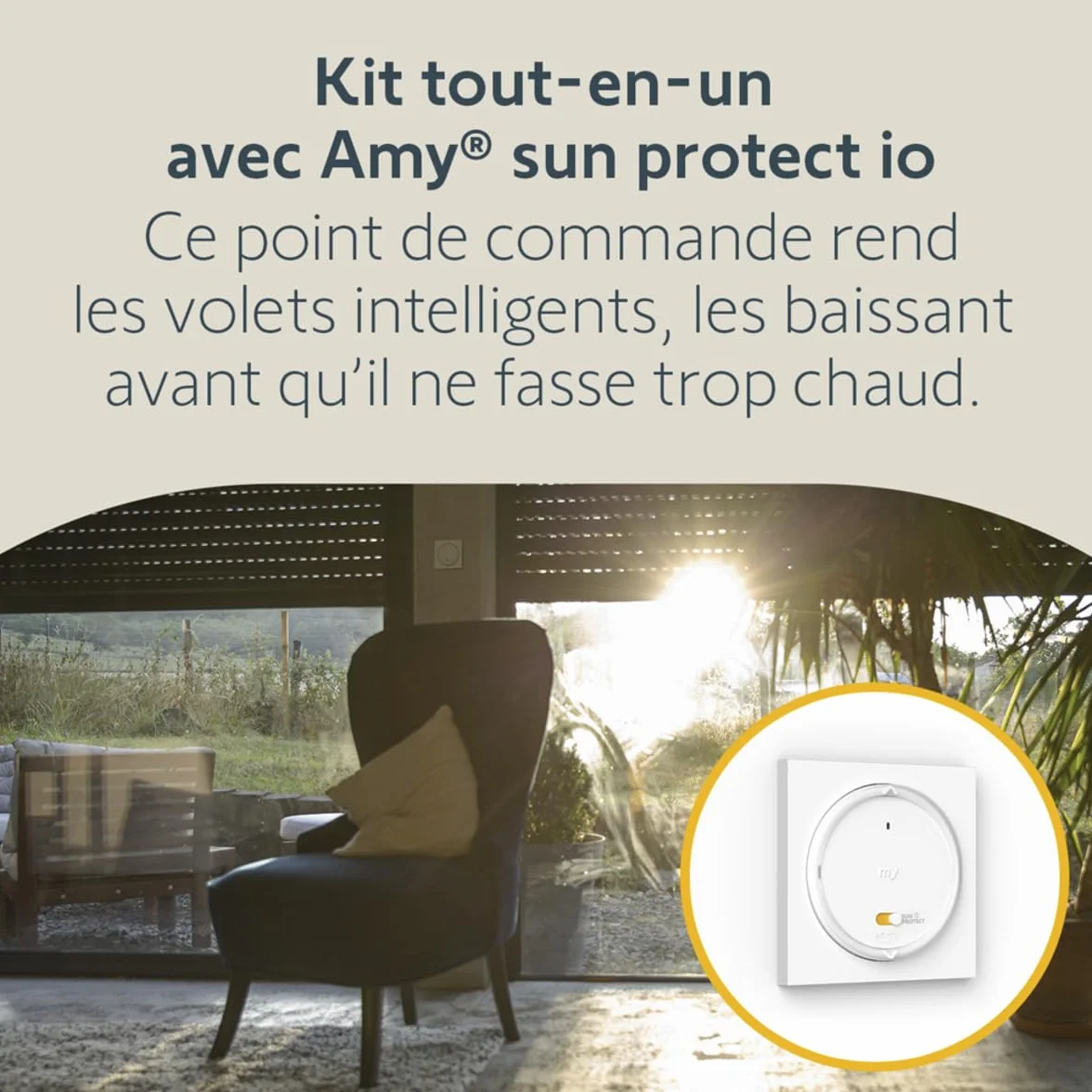 Somfy 1245874 Kit de Motorisation pour Volet Roulant pour Fenêtre RMS 1700 Radio IO - Compatible avec Volets rénovation, Tunnel, Bloc-Baie â€“ Télécommande Amy Incluse â€“ Compatible Tahoma