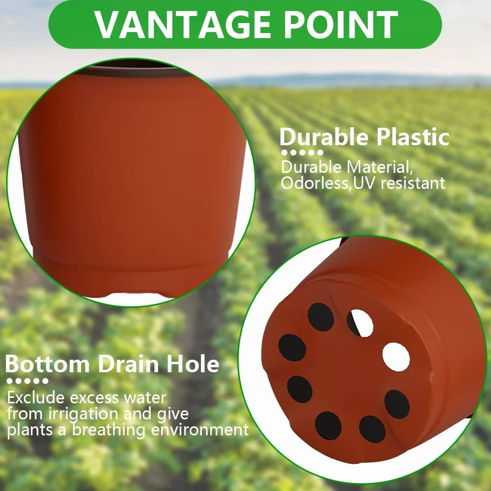 Pots pour semis 8 cm plastique lot de 100 pour plantes fleurs légumes fruits