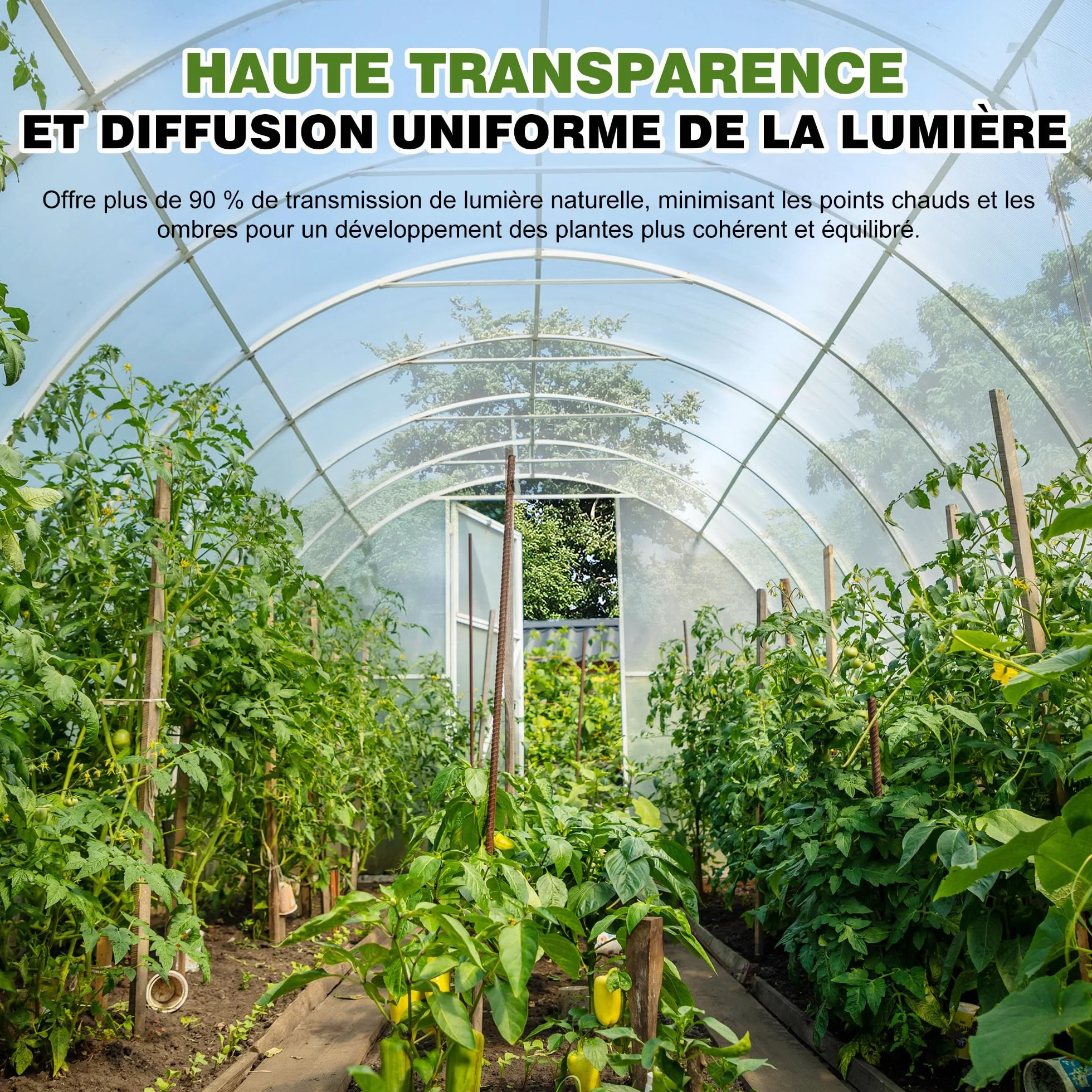 Bâche pour Serre en Polyéthylène Transparent Anti-UV 0,15mm 2Mx10M