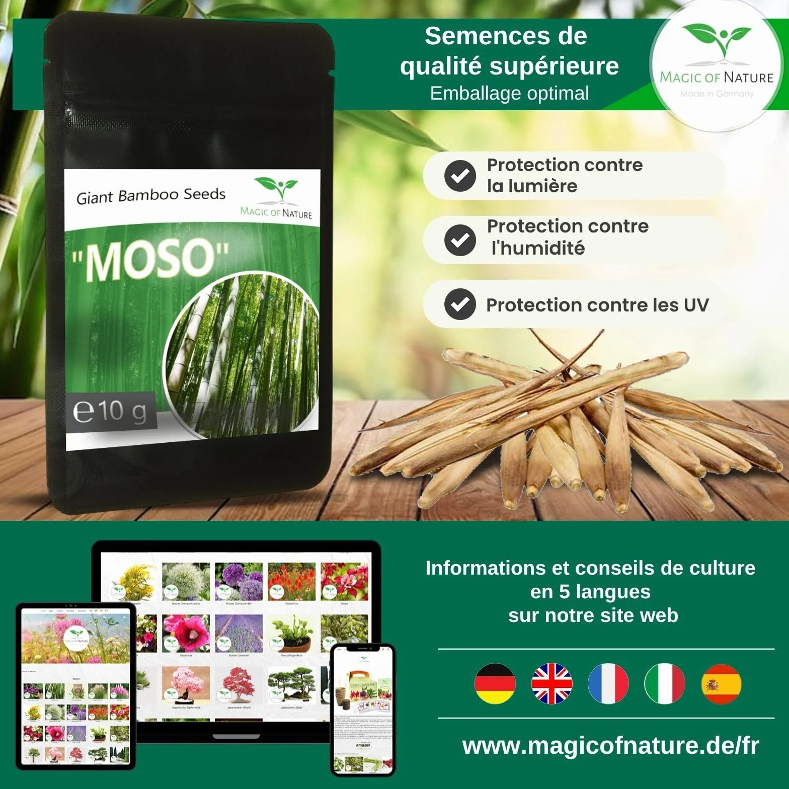 Graines de Bambou Géant 10g 350 pcs Brise-vue Naturel Jardin