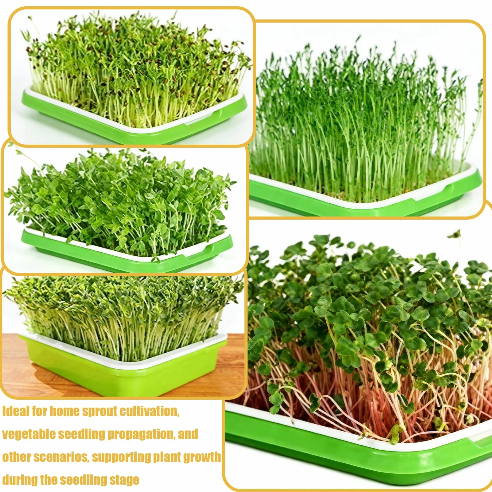 Bacs à Semis Hydroponique 2 Pièces, Plateau de Germination sans BPA, Rectangulaire Germoir à Graines