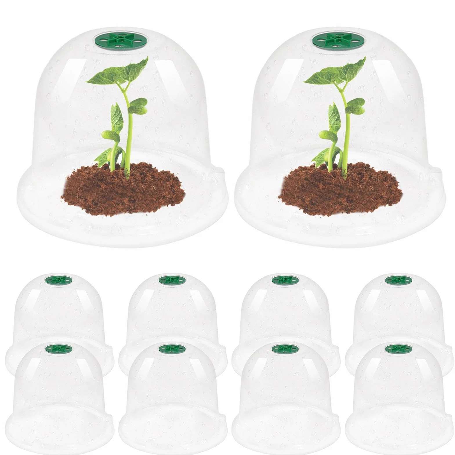 Cloche de jardin réglable Dôme d'humidité transparent pour protéger contre les oiseaux