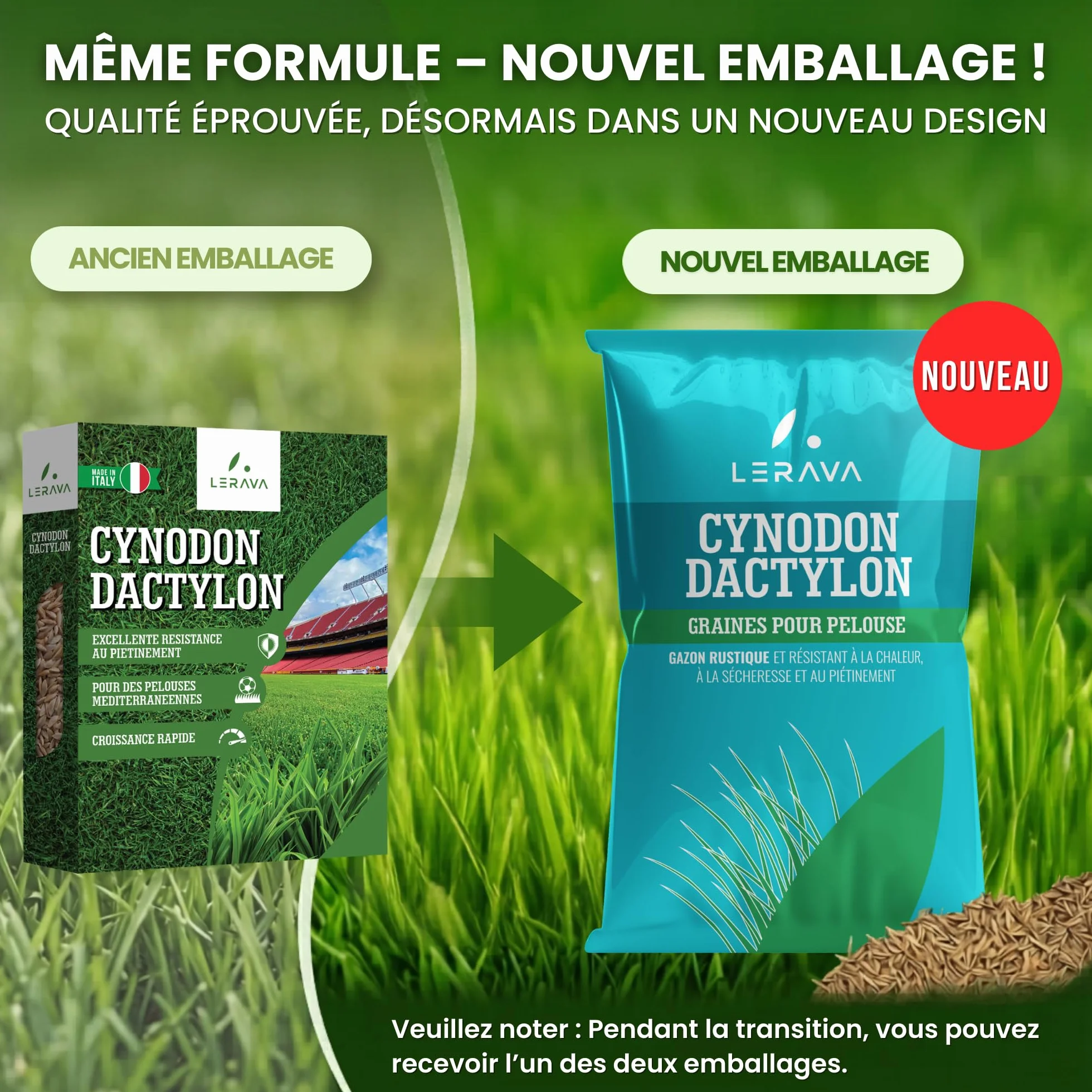 LERAVA Gazon Cynodon dactylon 200 g pour 20 m² Résistant piétinement sécheresse