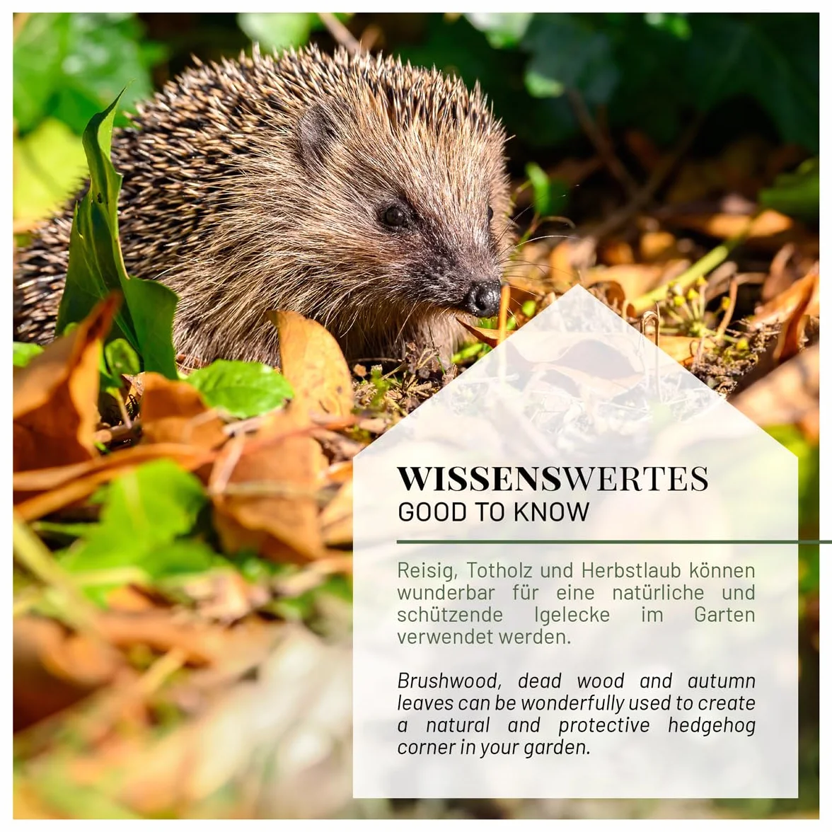 Wildlife Home Nourriture pour hérissons sans céréales 2 kg protéines d'insectes