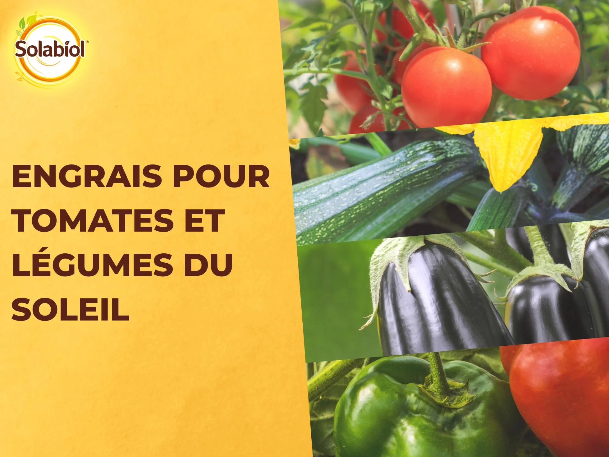 SOLABIOL Engrais Tomates & Légumes Du Soleil 750g Jusqu'à 15 Plants Nutrition Longue Durée Agriculture Biologique