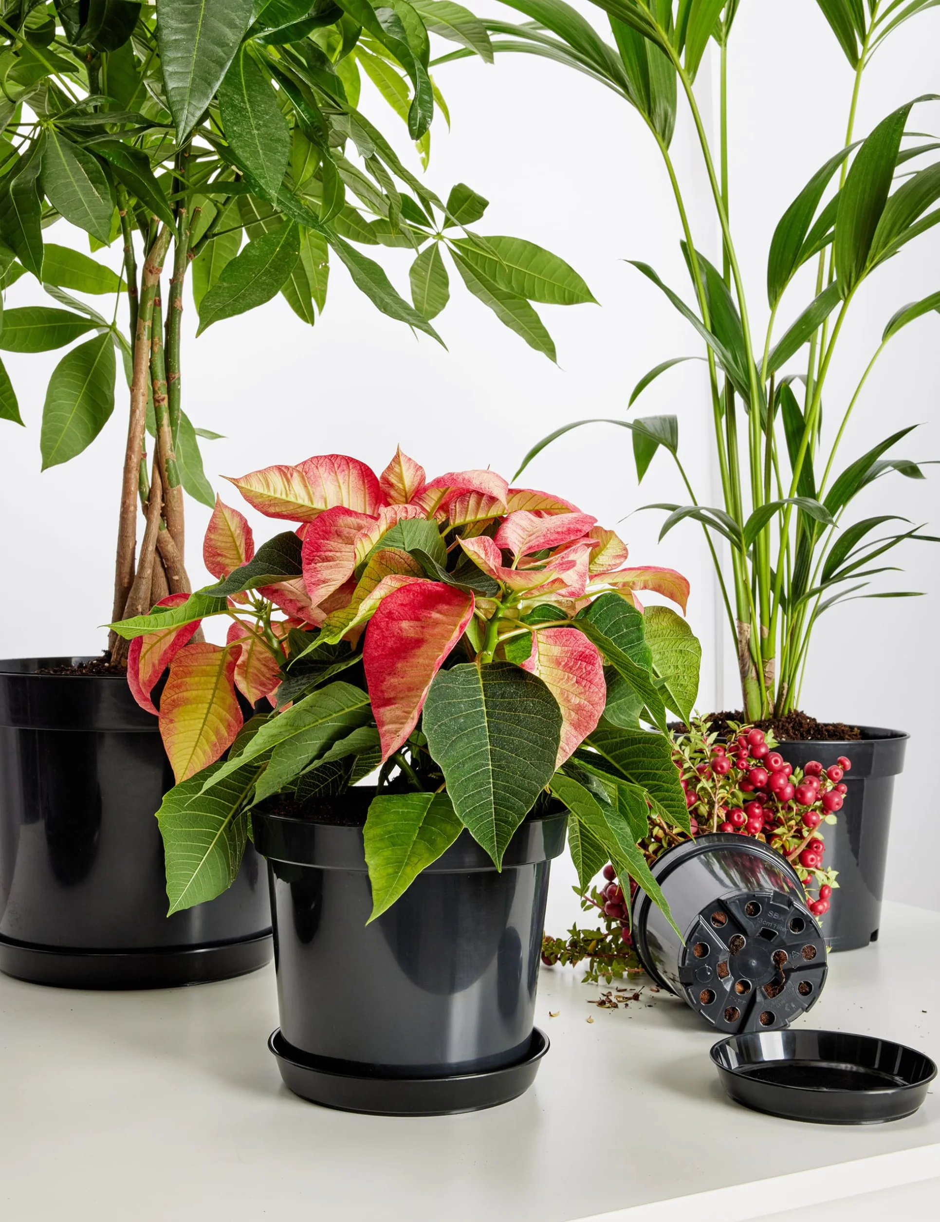 Soucoupes pour Pots Horticulture Ronds Noir ⌀ 50 cm H 6,2 cm